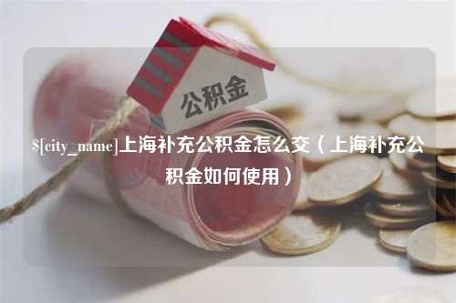 防城港上海补充公积金怎么交（上海补充公积金如何使用）